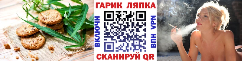 Купить закладки  Вельск  Canna-Cookies марихуана 