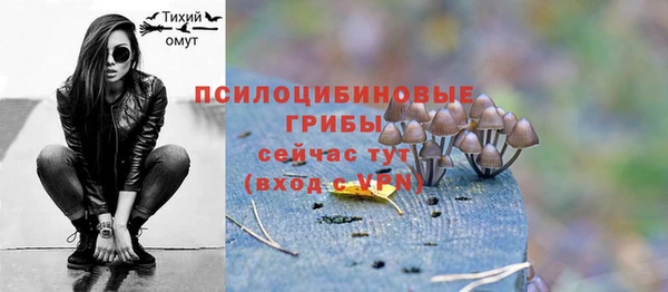 стаф Алексин