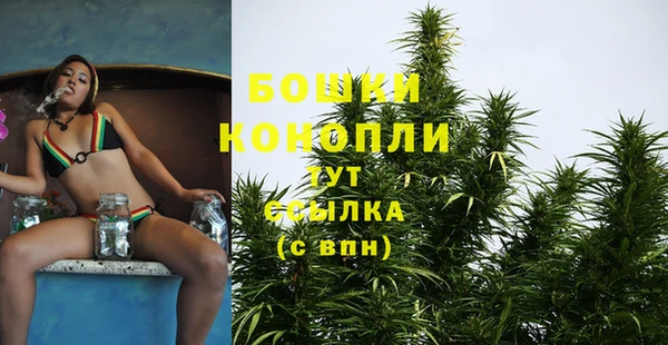 PSILOCYBIN Покровск